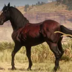 The-Updated-Andalusian-Horse4