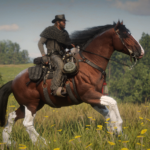 The-Updated-Shire-Horse2