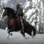The-Updated-Tennessee-Walking-Horse