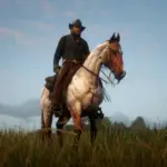 The-Updated-Tennessee-Walking-Horse3