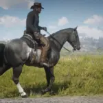 The-Updated-Tennessee-Walking-Horse4