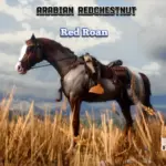 The-redemption-horses3