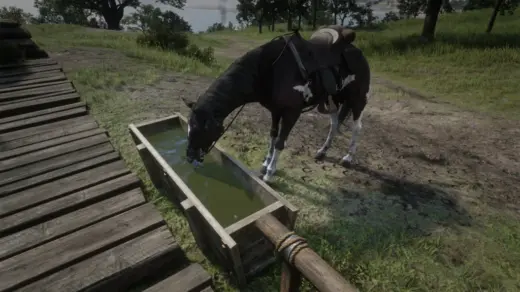 Thirsty-Horse-1024x576-1