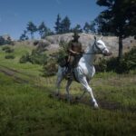Thoroughbreds