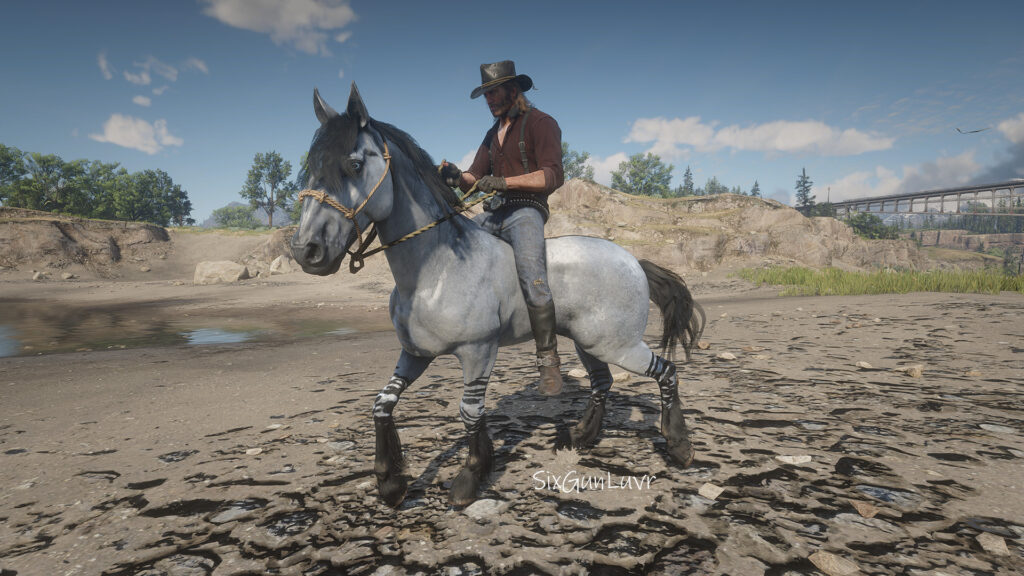 Tiger Striped Bay Mustang Horse Coats