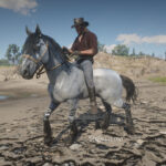 Tiger-Striped-Bay-Mustang-Horse-Coats
