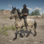 Tiger-Striped-Bay-Mustang-Horse-Coats2