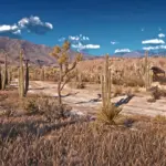 Tumbleweed-Expanded-And-Revamped-NATURE-EDITION3