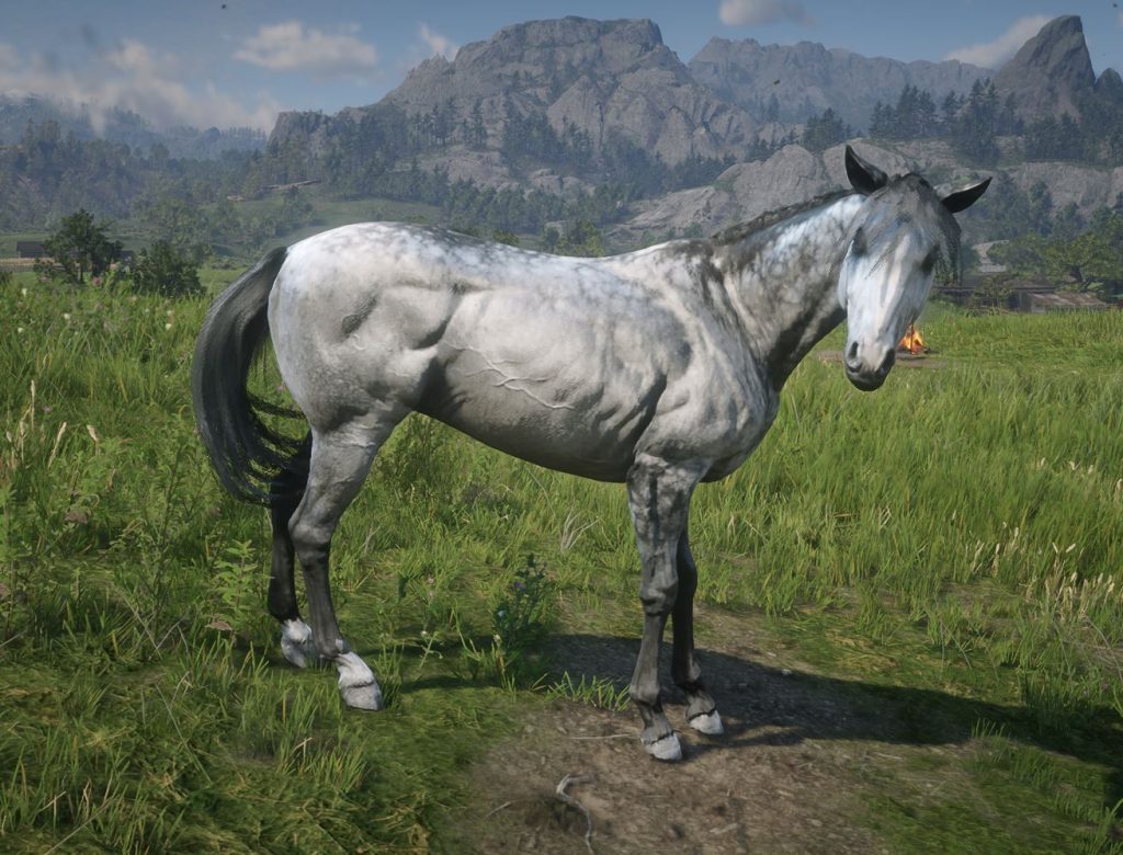 Turkoman Redemption