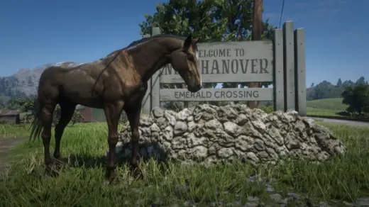 Turkomans-1024x576-1