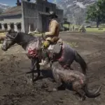 Undead-Horse4