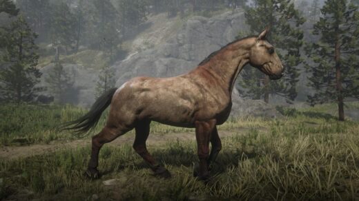 Unused-Trailer-Horse-to-Replace-Mahogany-Bay-1024x576-1