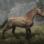 Unused-Trailer-Horse-to-Replace-Mahogany-Bay