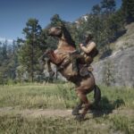 Unused-Trailer-Horse-to-Replace-Mahogany-Bay2