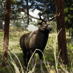 Upscaled Animals Large Mammals4