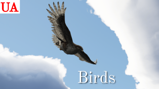 UpscaledAnimals-Birds