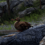 UpscaledAnimals-Birds2