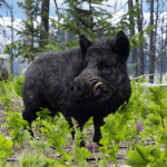 UpscaledAnimals-Medium-Mammals3