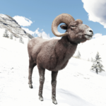 UpscaledAnimals-Medium-Mammals4