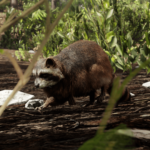 UpscaledAnimals-Small-Mammals4