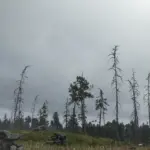 VESTIGIA-2.0-A-Visual-Mod4