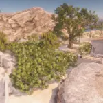 Vegetation-In-Mexico-Towns-Expansion2