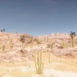 Vegetation-In-Mexico-Towns-Expansion4