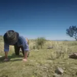 Vegetation-Tricks2