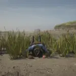 Vegetation-Tricks3