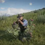 Vegetation-Tricks4