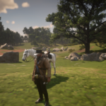 Very-low-settings2