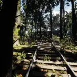 WW1-1918-Argonne-Forest-Remade3