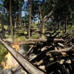 WW1-1918-Argonne-Forest-Remade4