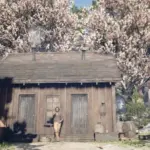 Wapiti-Improvements-Project