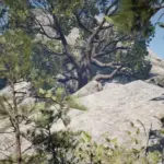 Wapiti-Improvements-Project2