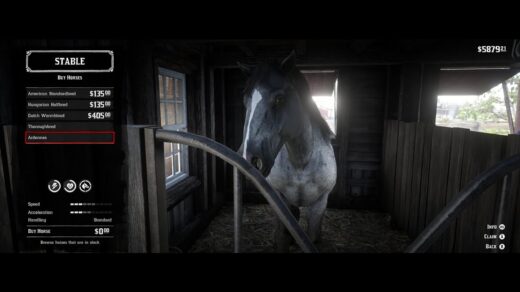 War-Horse-Pre-Order-1