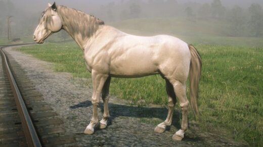 Warmblood-Redemption-1024x758-1