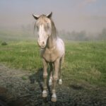 Warmblood-Redemption2