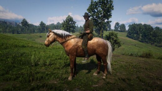 Welsh-Pony-and-Cob-1024x576-1