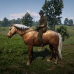 Welsh-Pony-and-Cob