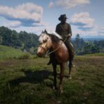 Welsh-Pony-and-Cob2