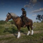 Welsh-Pony-and-Cob3