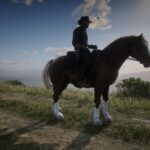 Welsh-Pony-and-Cob4