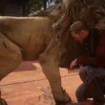 Wild-Animals-Companion