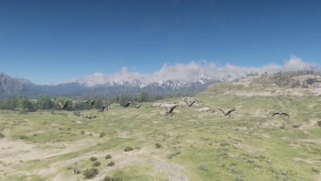 Wild Horizon FX V1.0