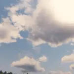 Wild-Horizon-FX2