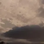 Wild-Horizon-FX5