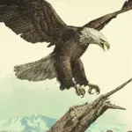 Wildlife-Artwork-Loading-Screens4
