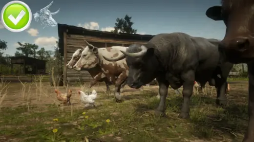 Wrong-Angus-Bull-Fix-1024x576-1