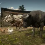 Wrong-Angus-Bull-Fix